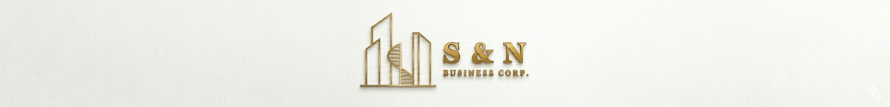 S&N Business Corp